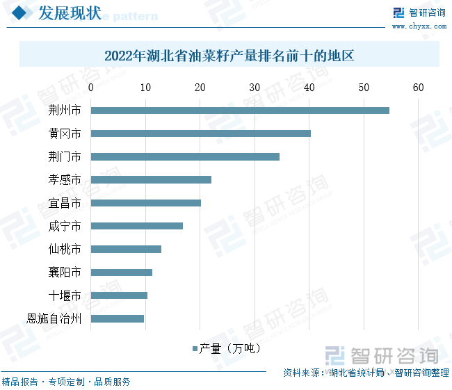 湖北今日菜籽价格动态及最新行情分析