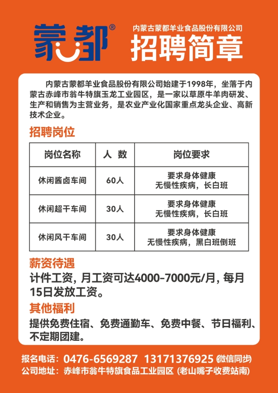 大良最新招聘信息，科技革新引领职场新纪元