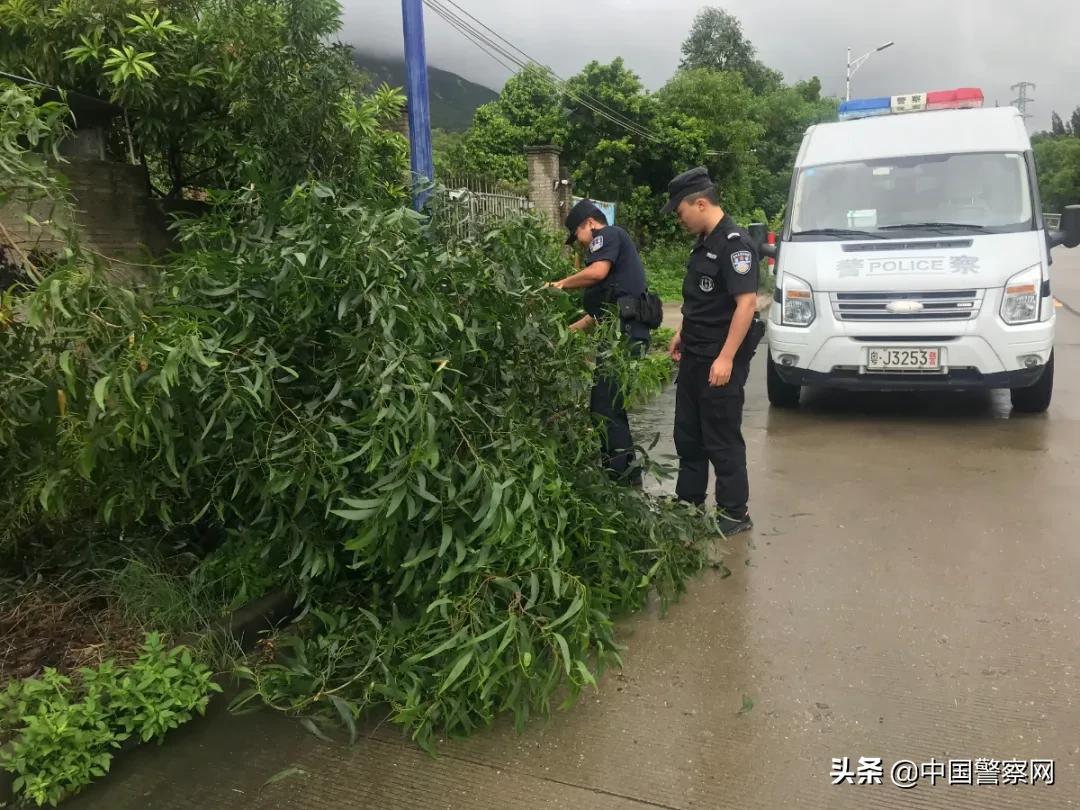 台山台风最新消息，冒险之旅中的温情守护