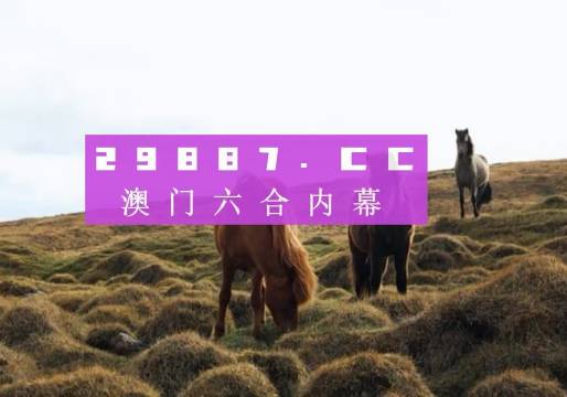 澳门开奖结果2023开奖记录,快速问题处理_影视版