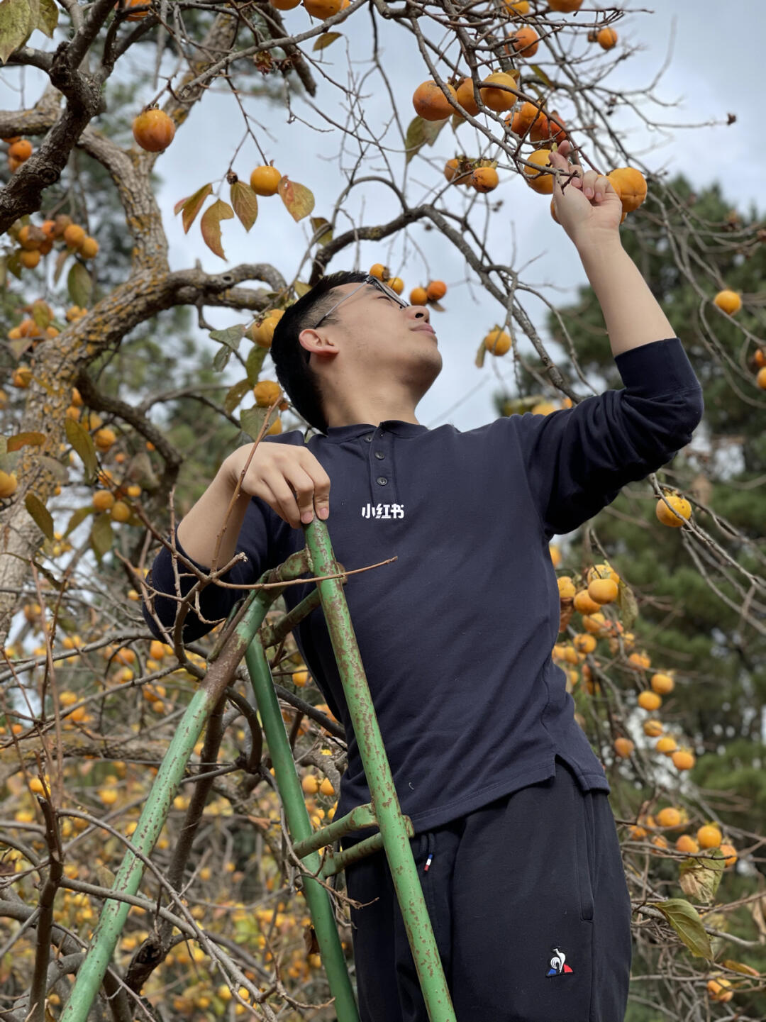 健康管理师 第133页