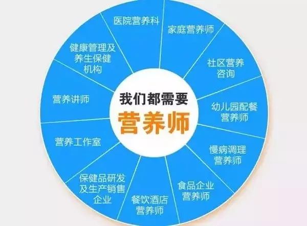 专业营养指导费用深度解析，营养师价格概览