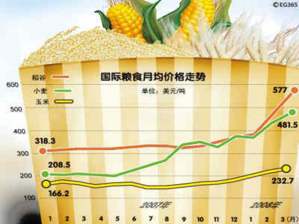 最新粮食价格动态揭秘，粮仓秘密与友情力量探究