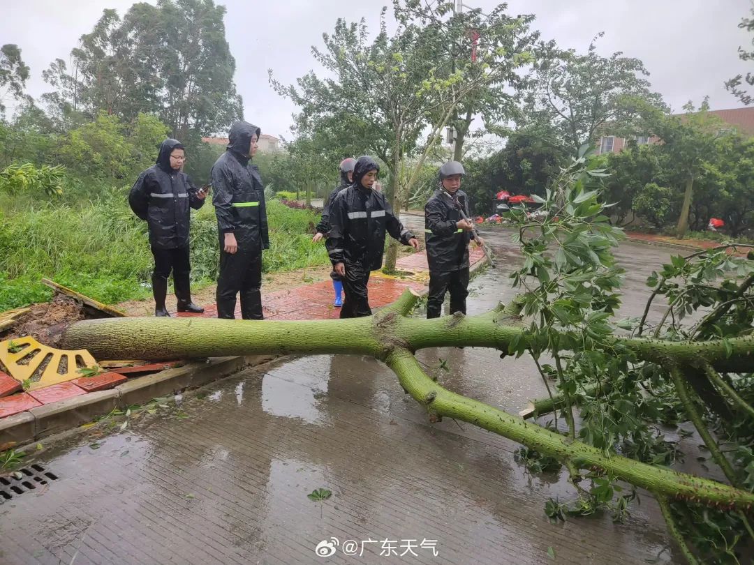 “台风苏力最新动态”,台风苏力最新动态，多方观点分析与个人立场